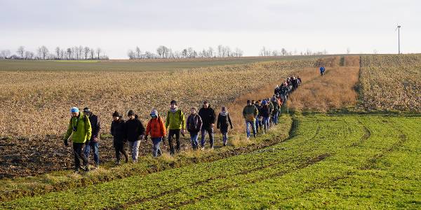 Auf den Spuren der „Mühlviertler Hasenjagd“